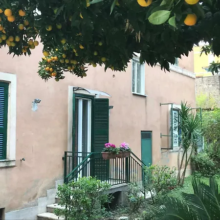 La Casa Del Nespolo Апартаменты Рим
