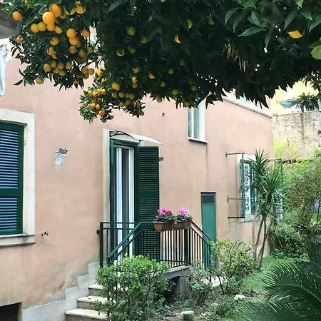 La Casa Del Nespolo